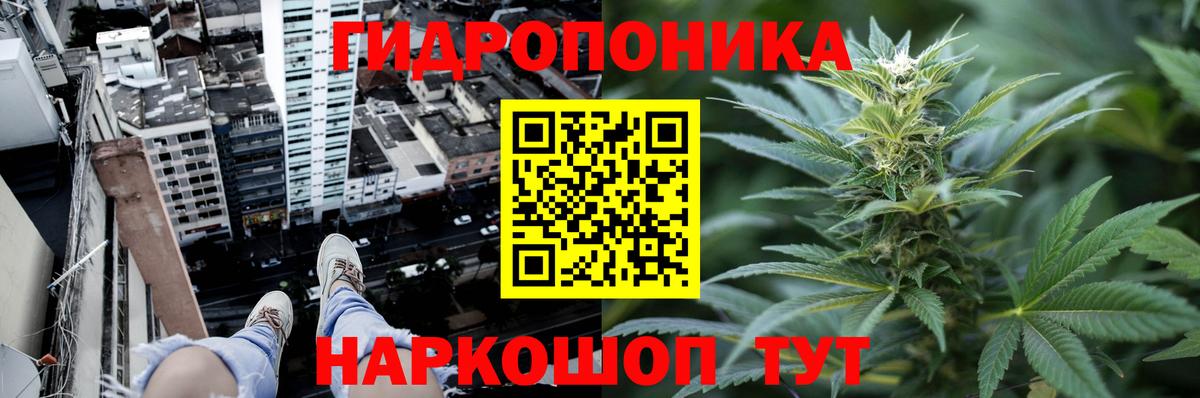 Бошки марихуана сатива  Марихуана планчик  Бошки Шишки семена  Вход с VPN  Шишки марихуана Ganja  Набережные Челны 